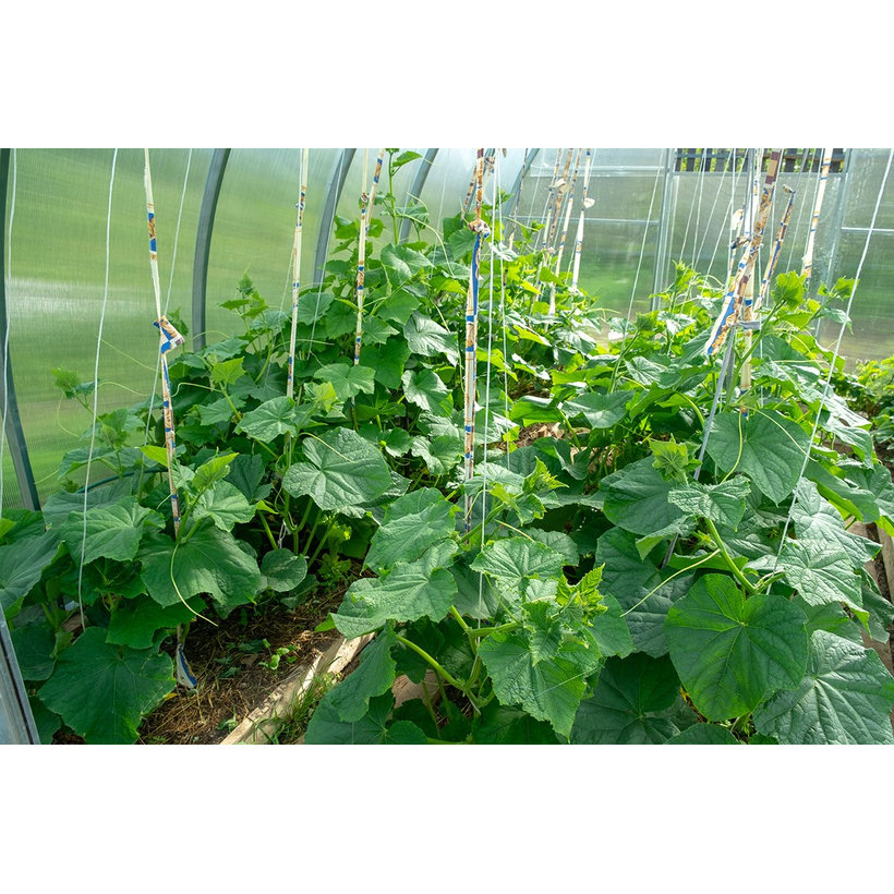 Polipropilén zsineg fehér 5000g