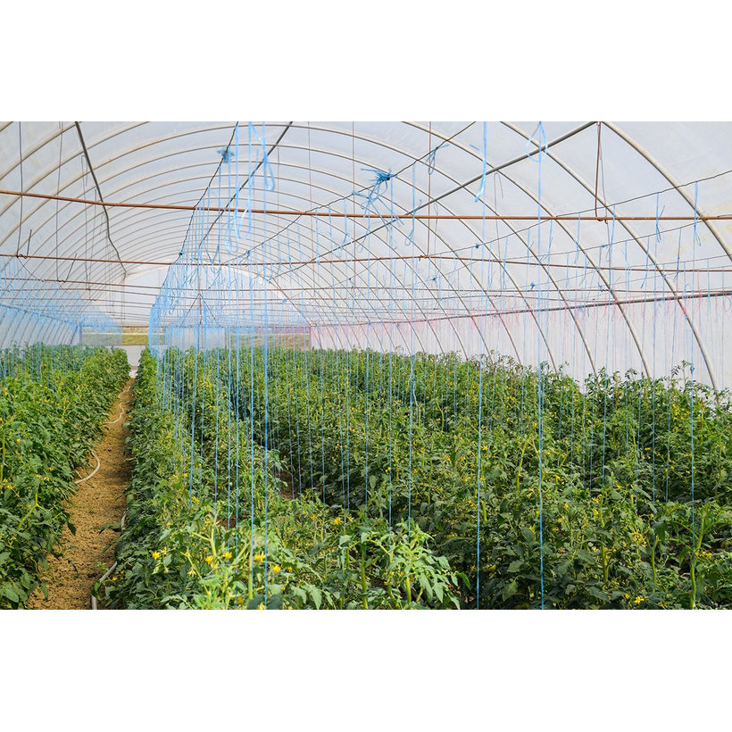 PES kötél maggal színes 16pr 5mm